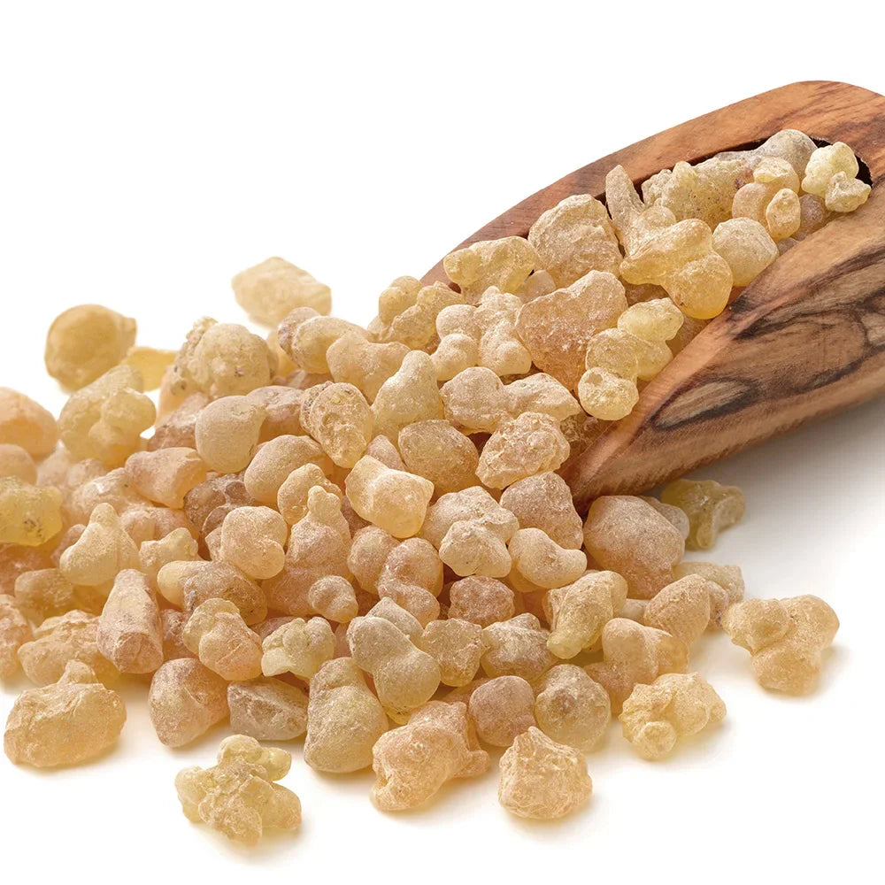 High Quality Frankincense Incense Block Clean Aroma Nipple Boswellia Frankincense 20g